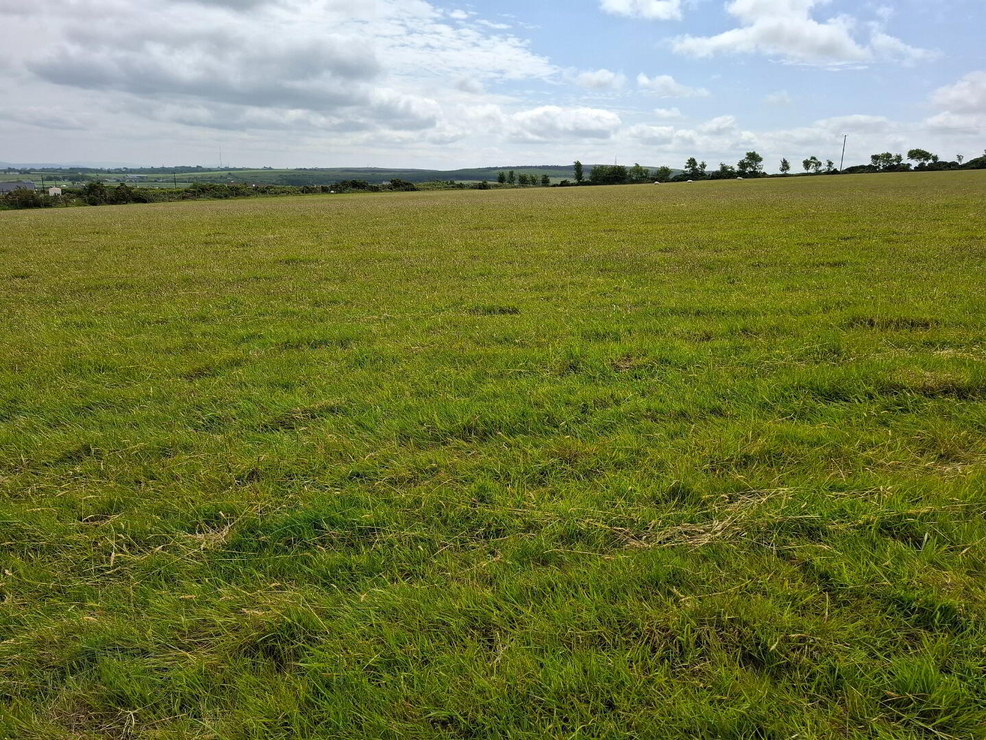 Carrowreagh 12 of 14