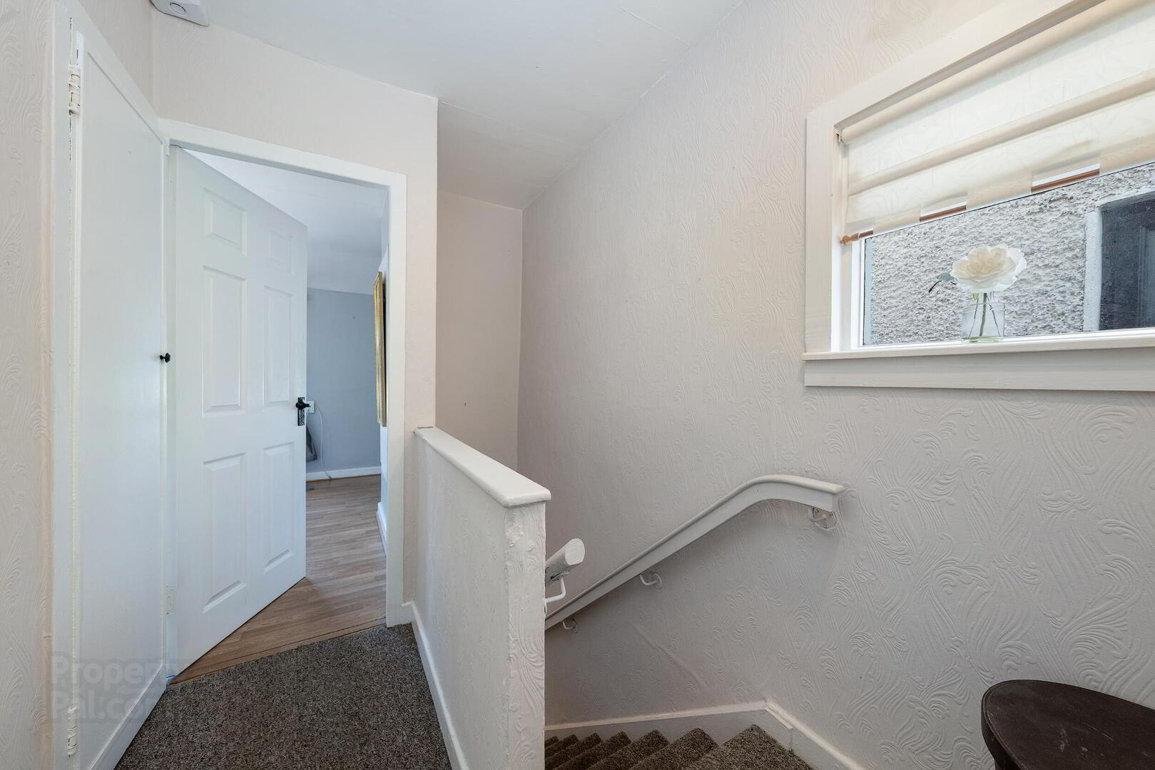 81 Griffith Road 10 of 26
