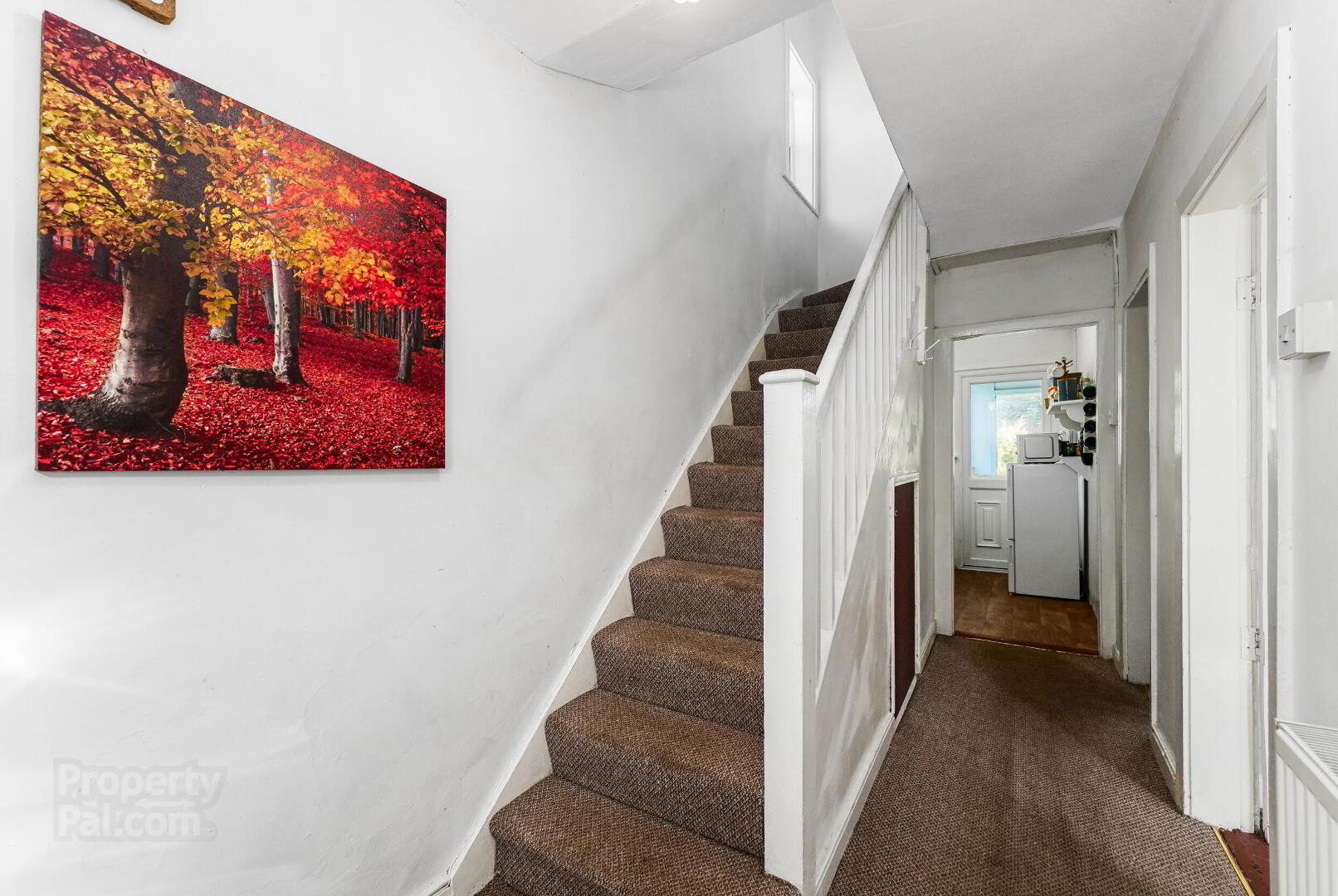 1 Grove Avenue 4 of 22