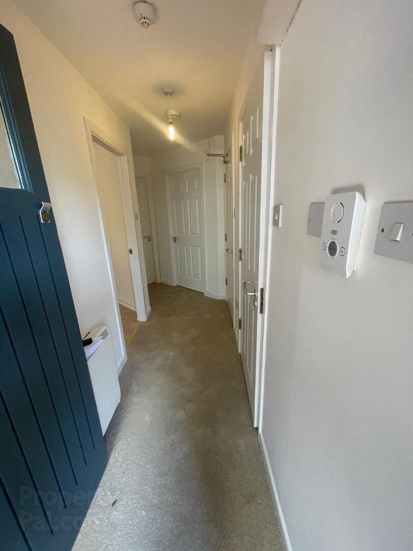 Apartment 2 Reeves Hall 10 of 14