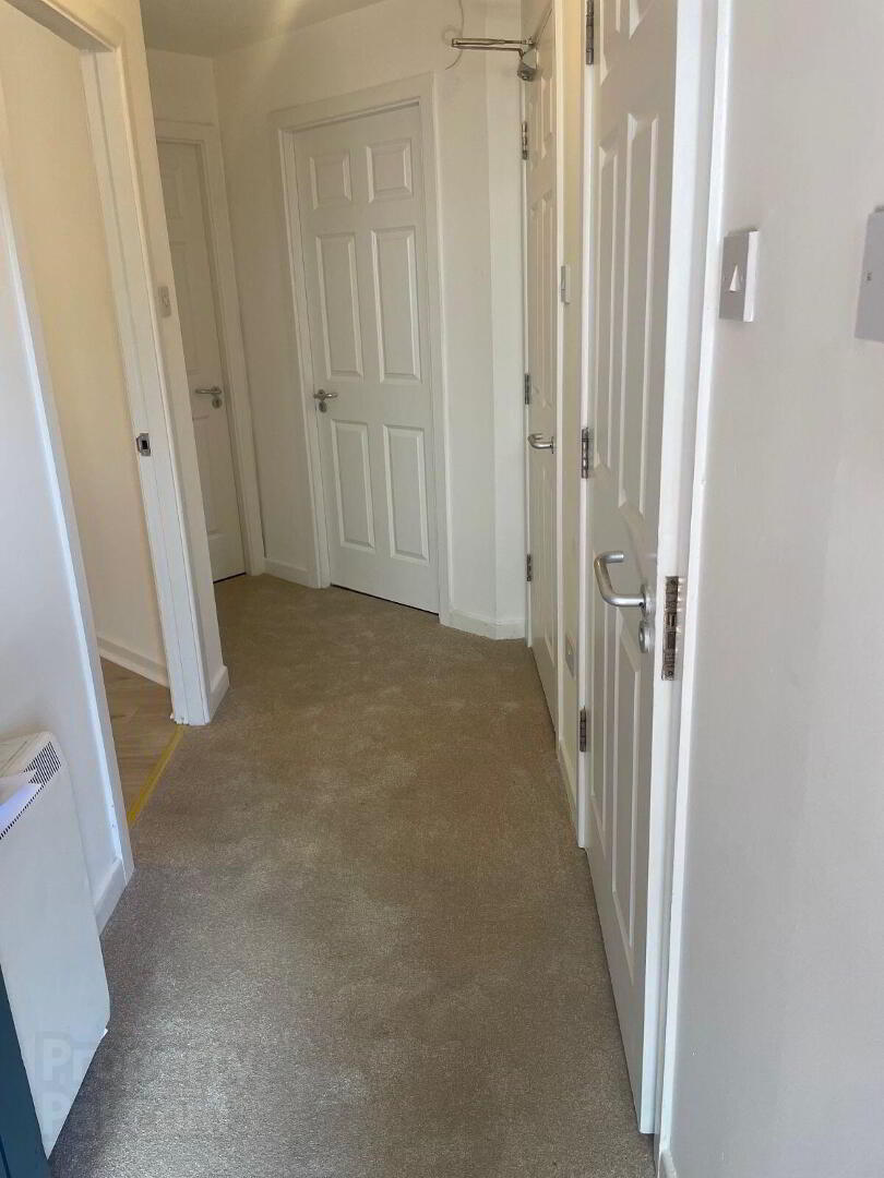 Apartment 2 Reeves Hall 11 of 14