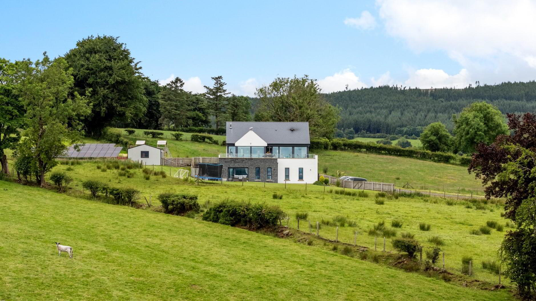 12 Old Ballynoe Road 3 of 40