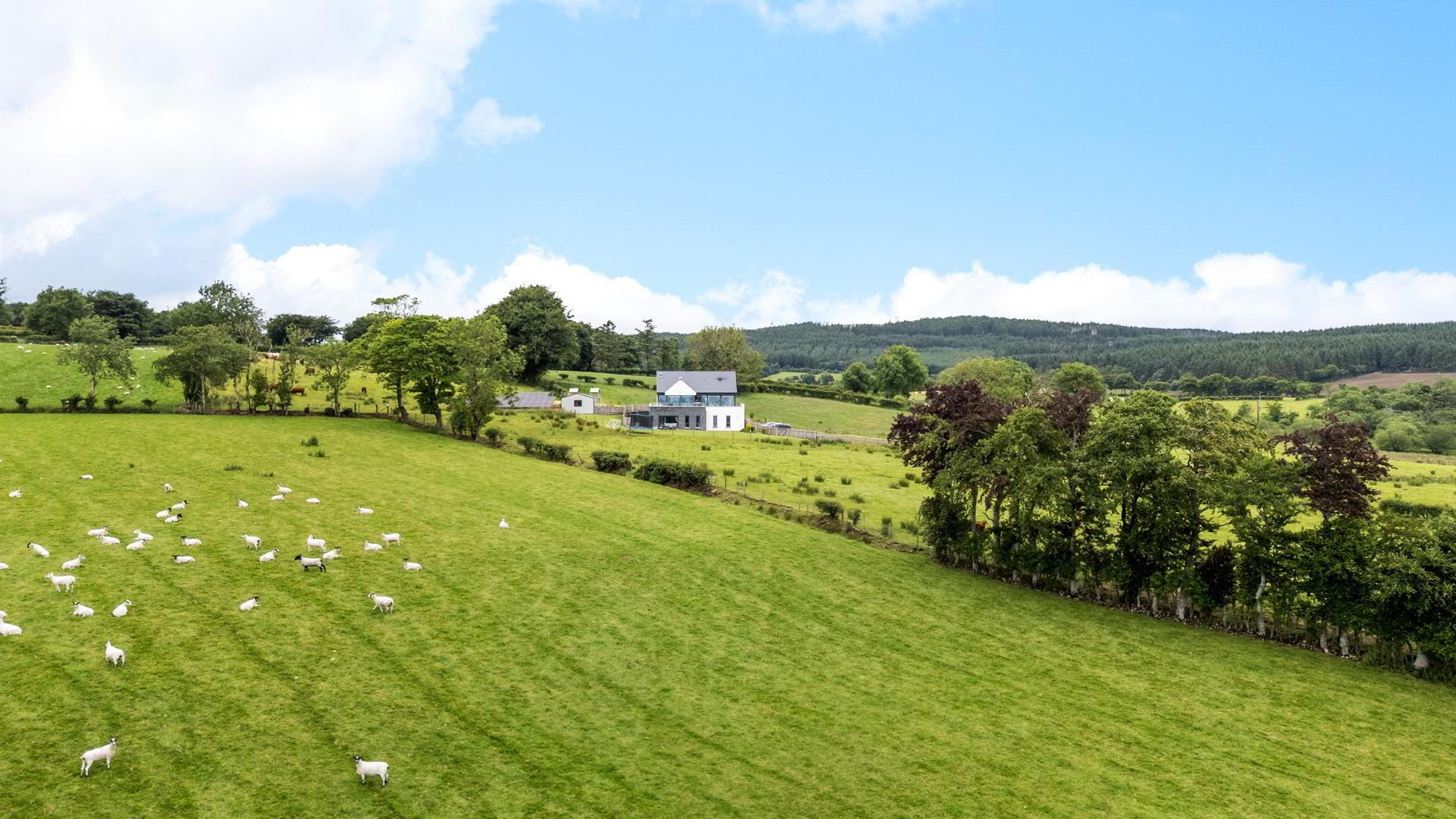12 Old Ballynoe Road 1 of 40