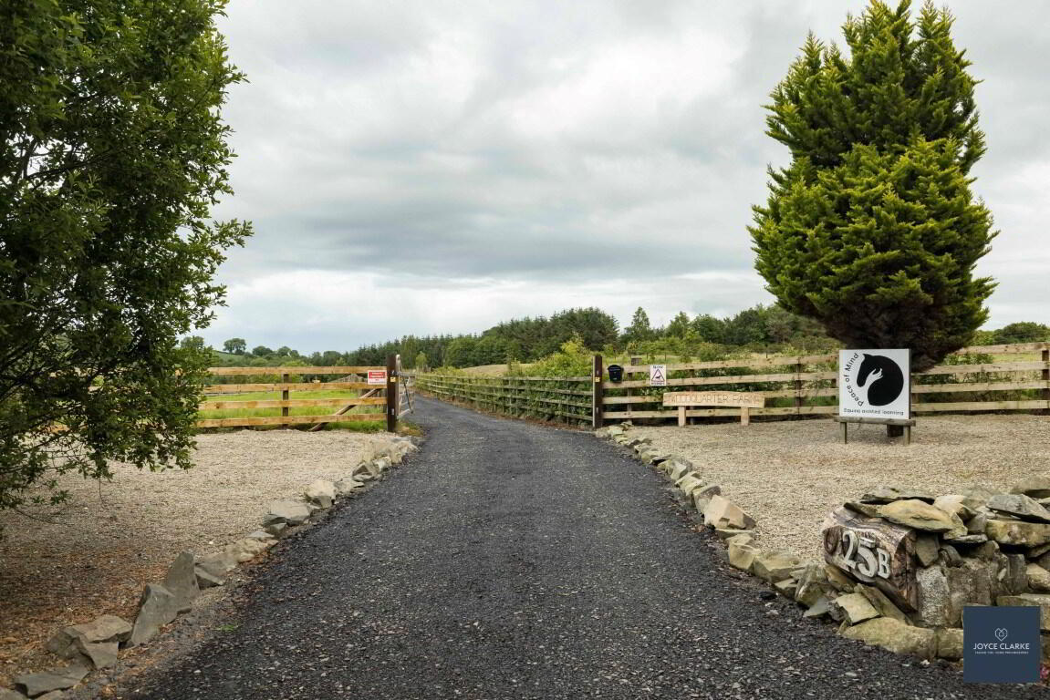 25b Magheralone Road 41 of 50