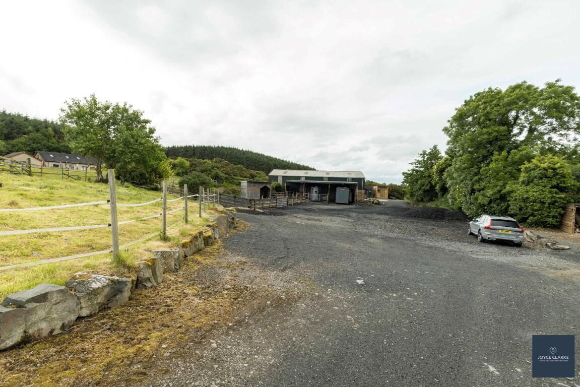 25b Magheralone Road 43 of 50