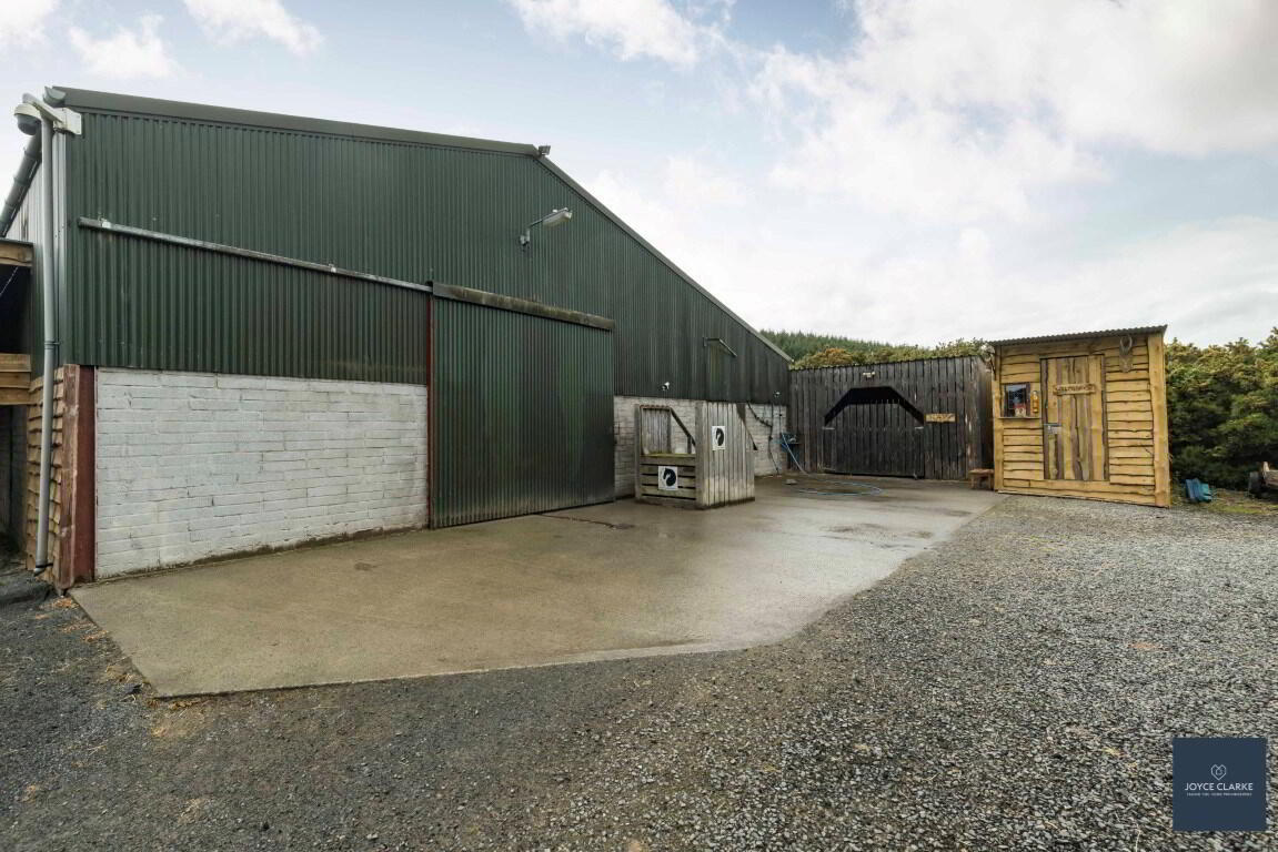 25b Magheralone Road 46 of 50