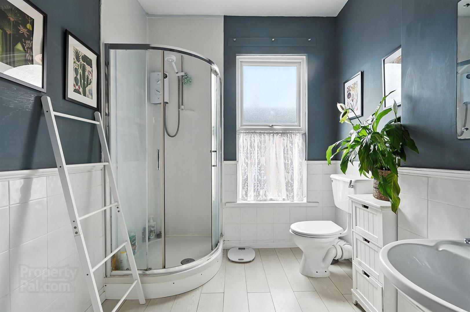 8 Elaine Street 18 of 20