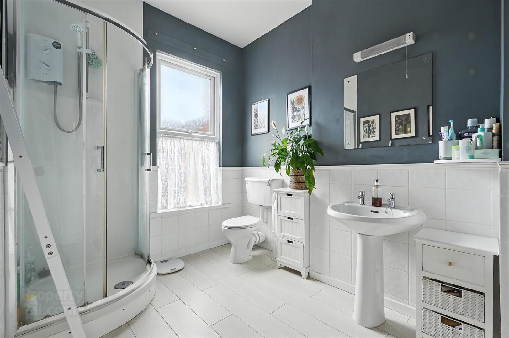 8 Elaine Street 17 of 20