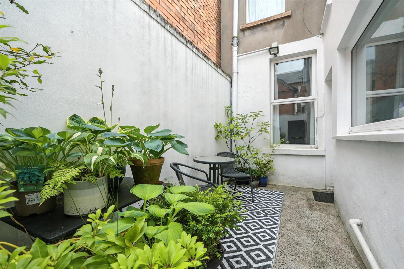 8 Elaine Street 20 of 20