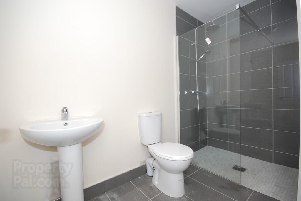 11 Brown Street 4 of 6