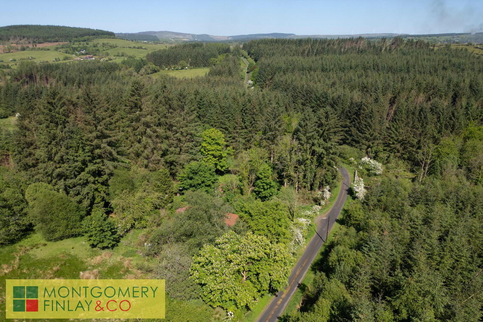 26 Formil Road 3 of 15