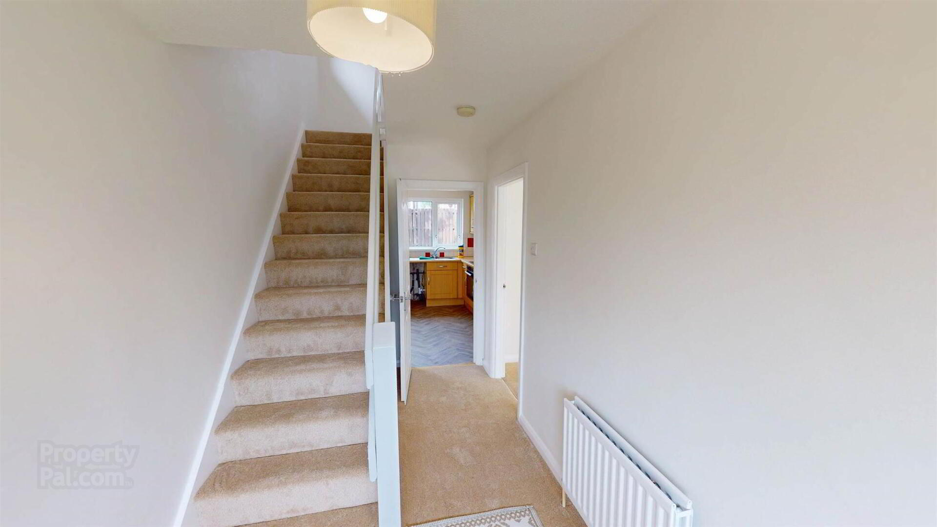 38 Strangford Road 2 of 19