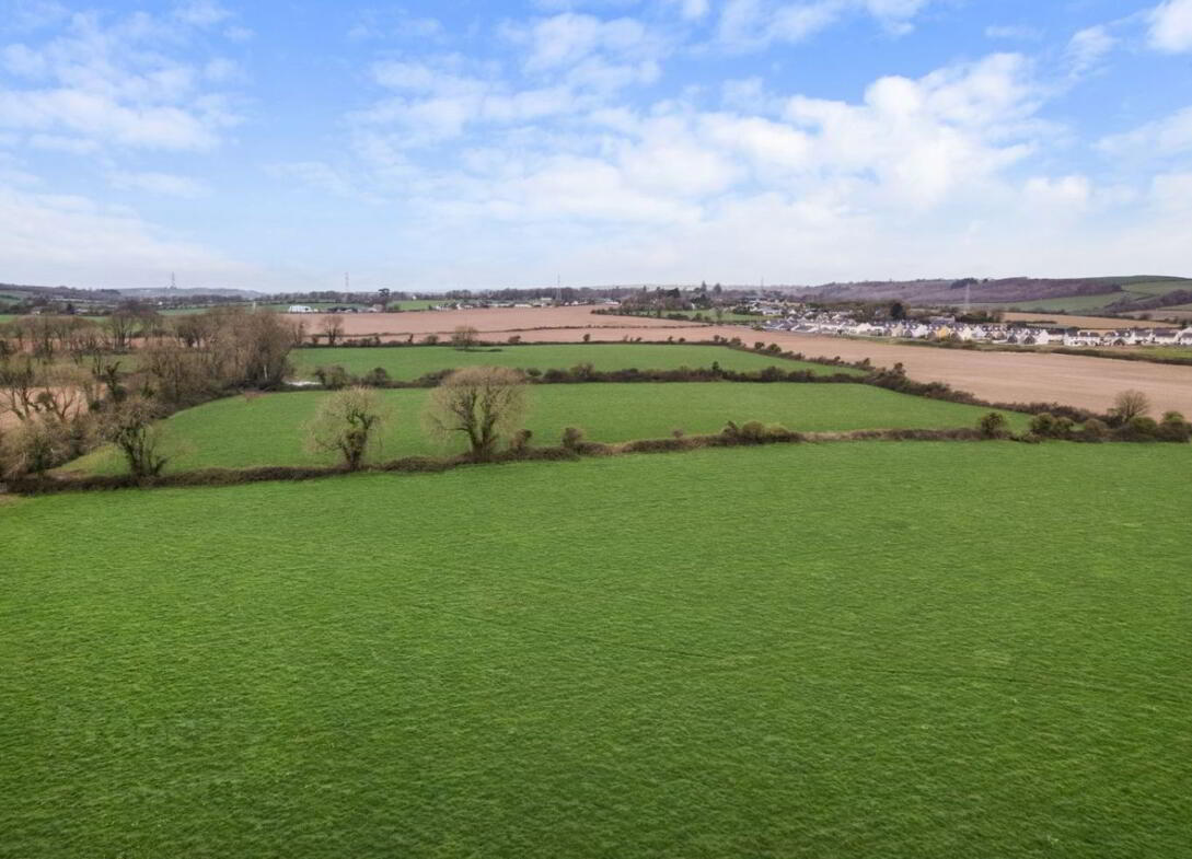 Kilboy 6 of 26