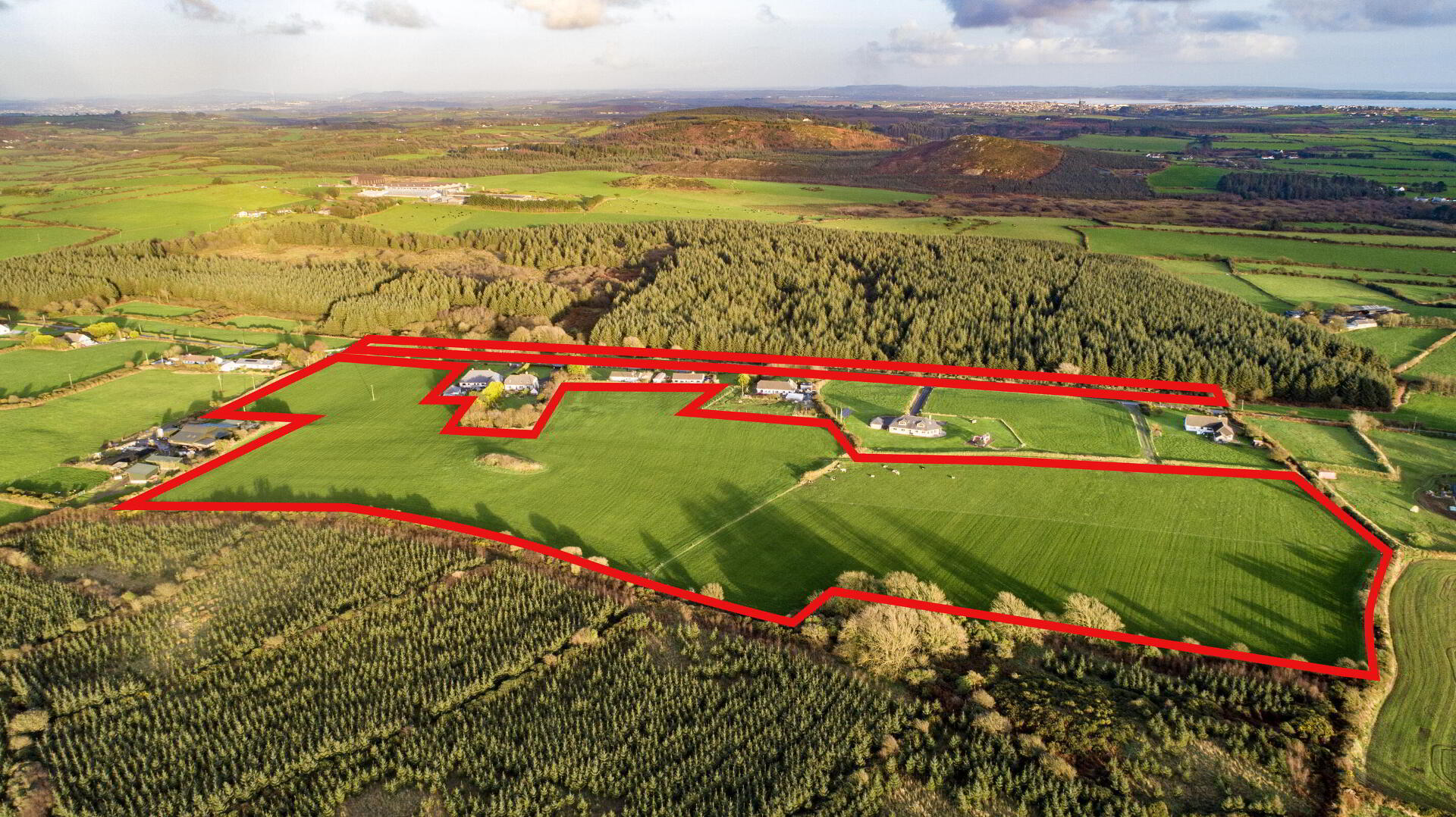 Circa 24.5 Acres, Ballyadam 5 of 6