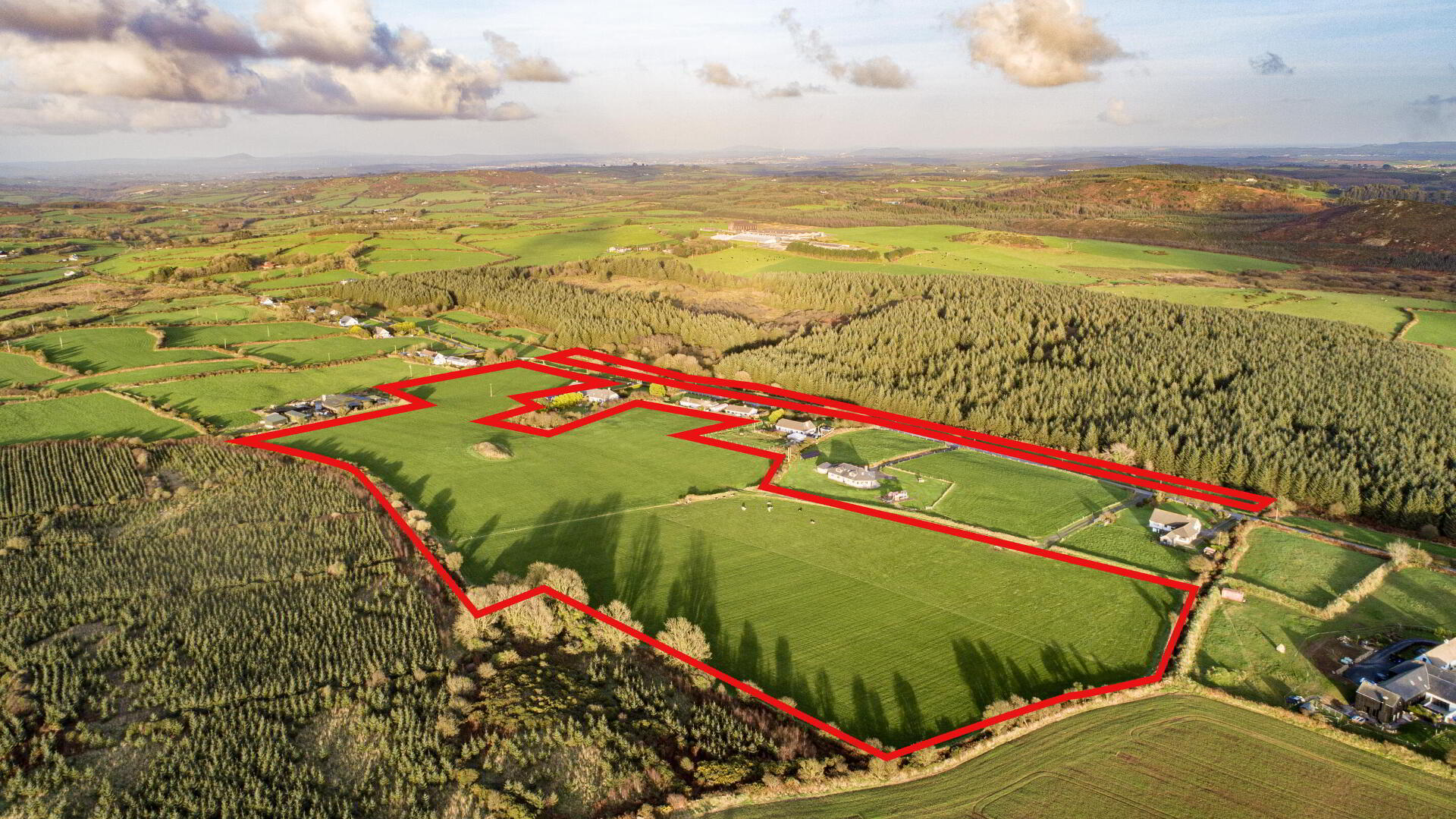 Circa 24.5 Acres, Ballyadam 4 of 6