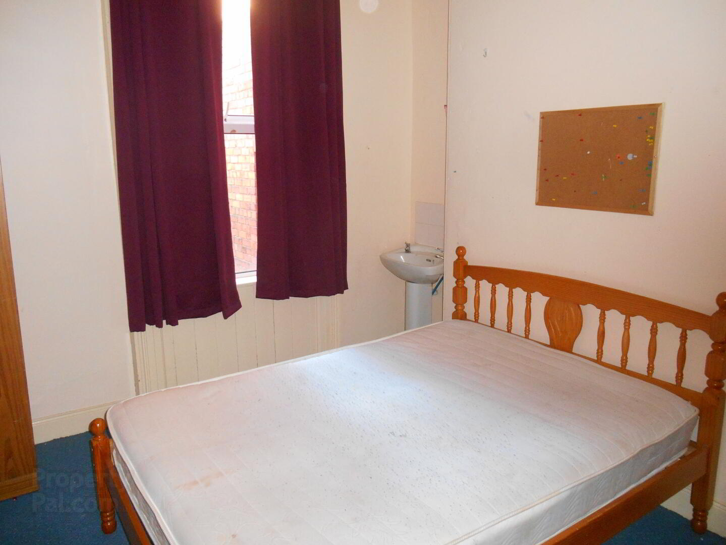 Unit 2, 88 Malone Avenue 4 of 13