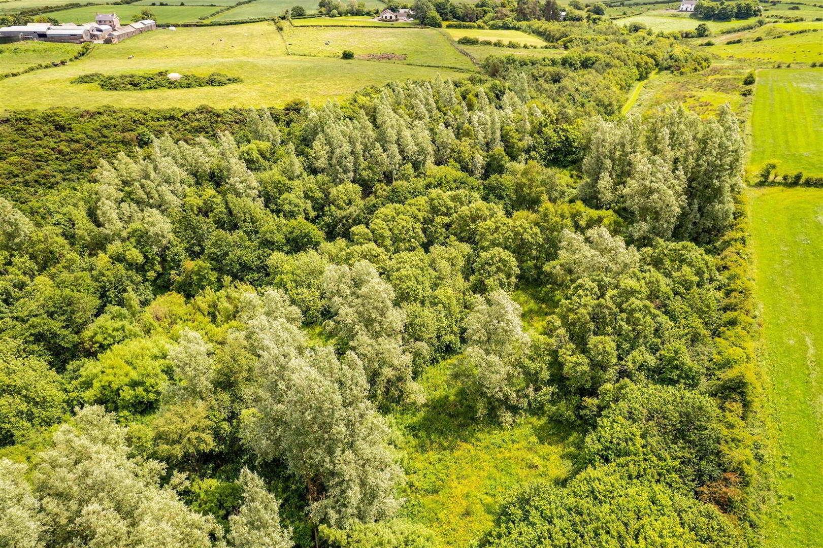 Woodland At 26 Leeke Road 9 of 19