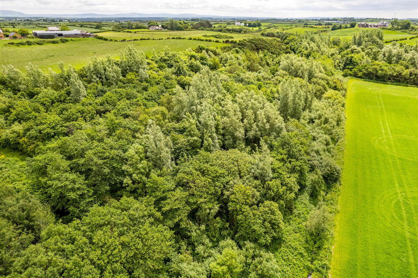 Woodland At 26 Leeke Road 6 of 19