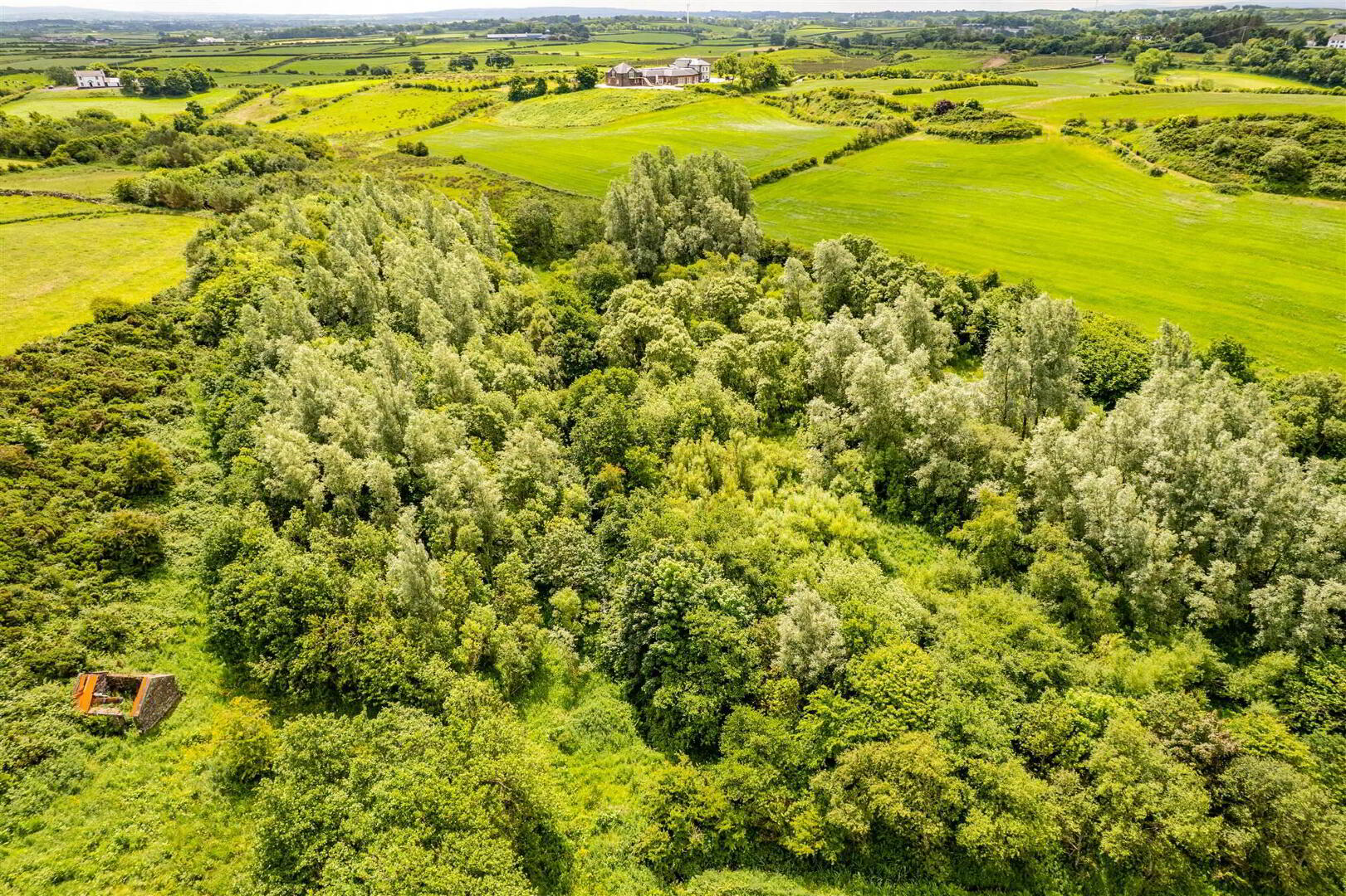 Woodland At 26 Leeke Road 8 of 19