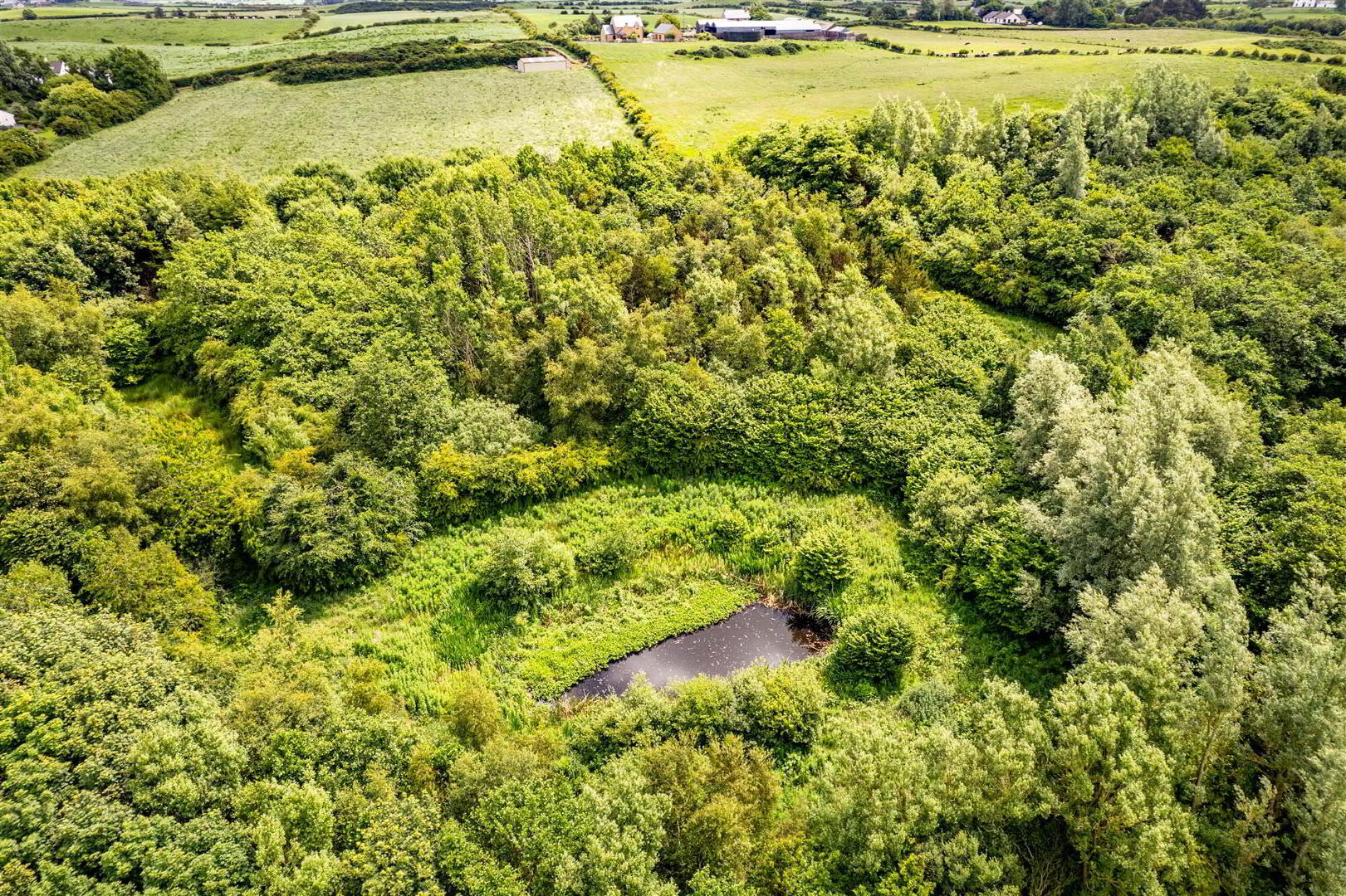 Woodland At 26 Leeke Road 4 of 19