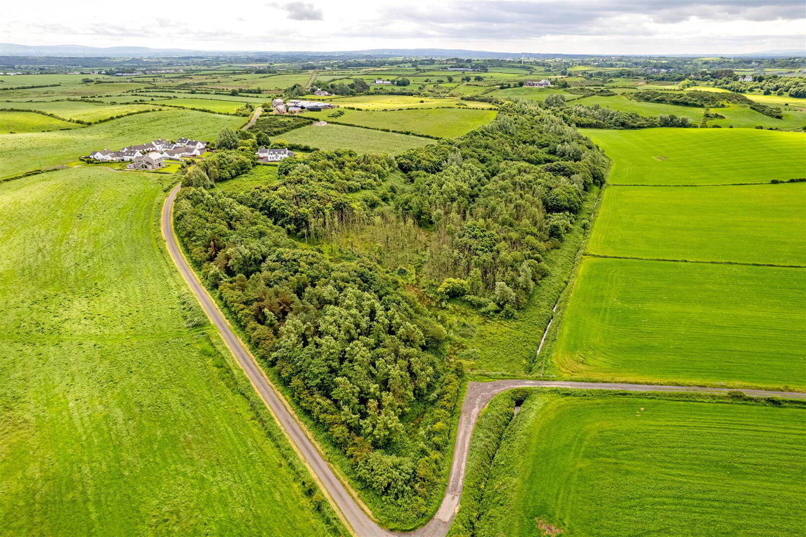 Woodland At 26 Leeke Road 1 of 19