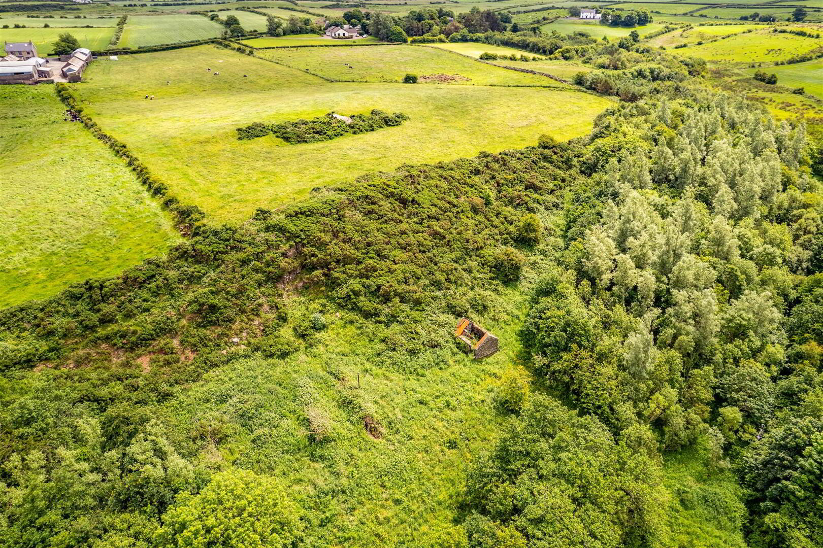 Woodland At 26 Leeke Road 7 of 19