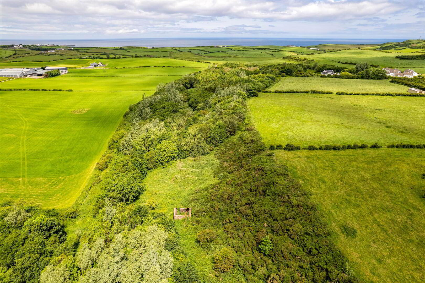 Woodland At 26 Leeke Road 12 of 19