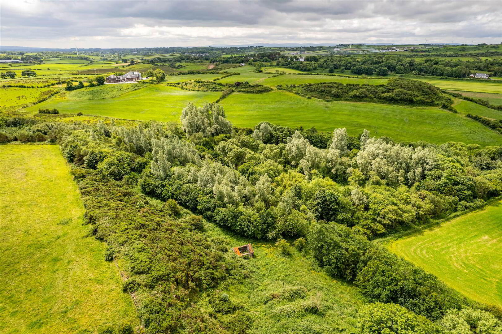 Woodland At 26 Leeke Road 13 of 19