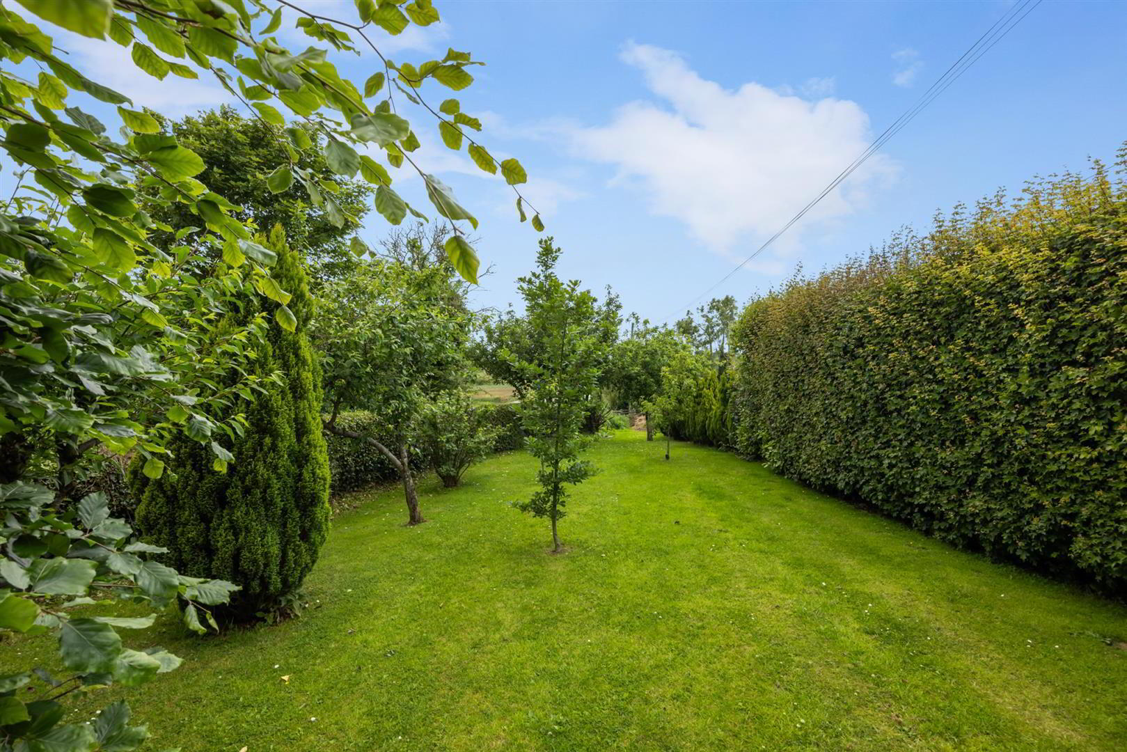 22 Ballyhornan Road 41 of 45