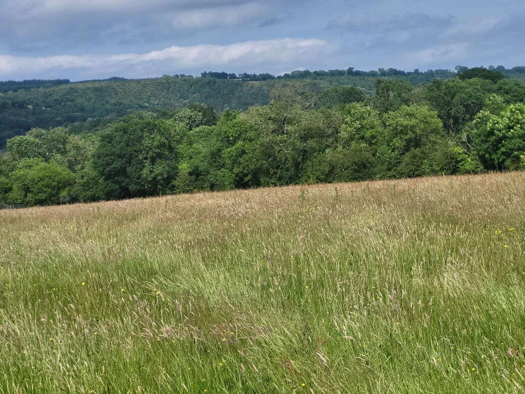 Bawnmore 5 of 9
