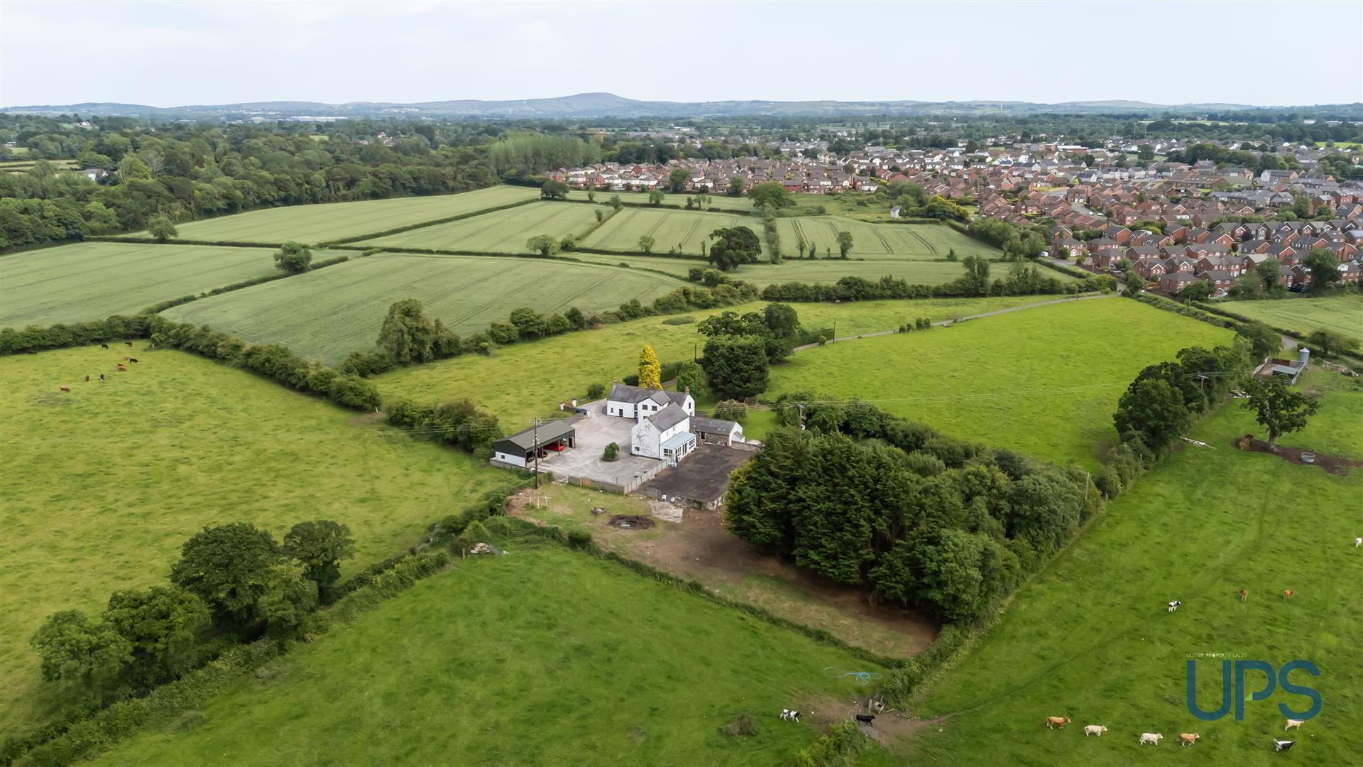 'Glenfield', 87 Cidercourt Road 65 of 79