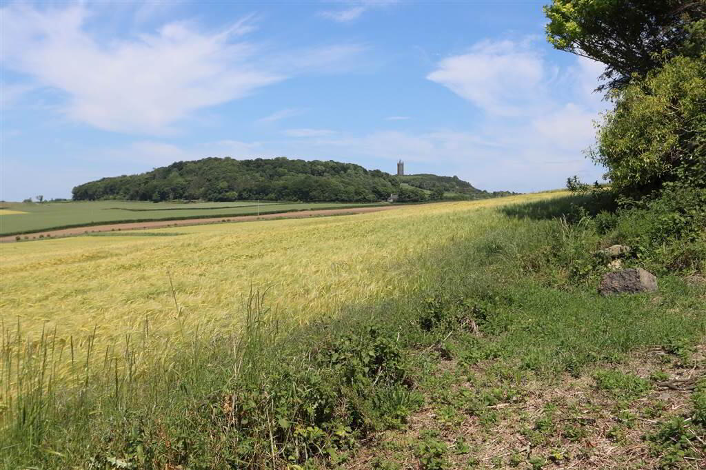 'Mount Cairn', 106 Newtownards Road 53 of 61
