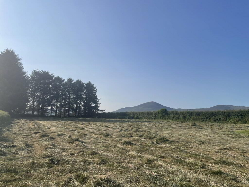 Ballygalane Upper 10 of 12