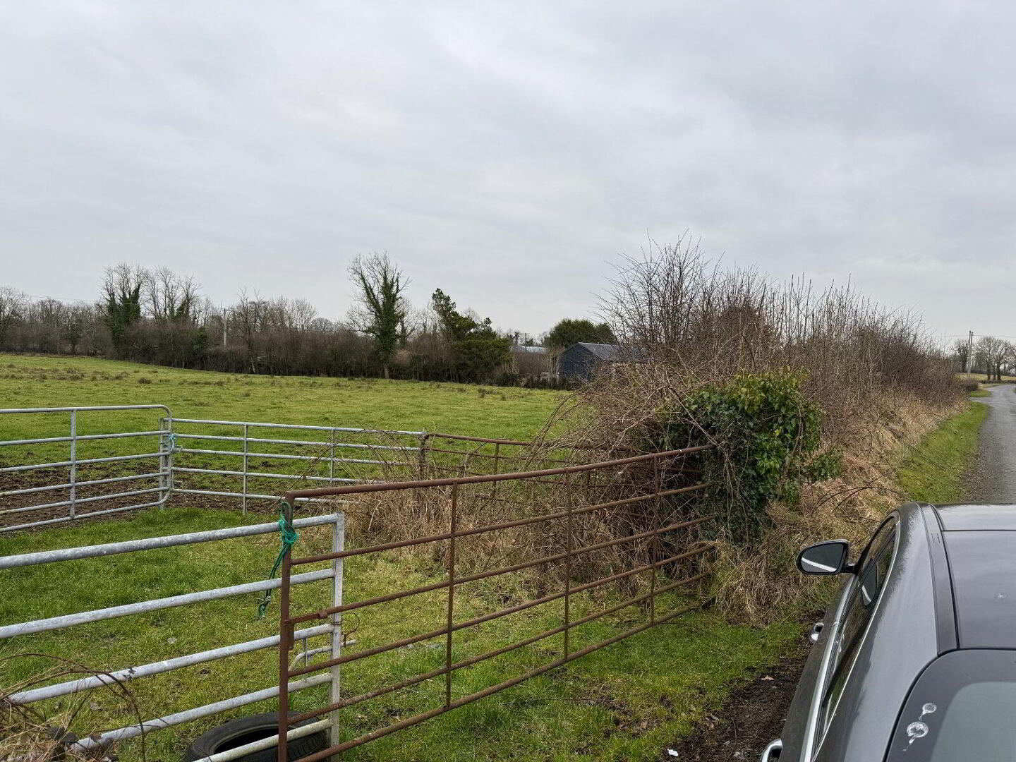 Site At, Lismore 5 of 7