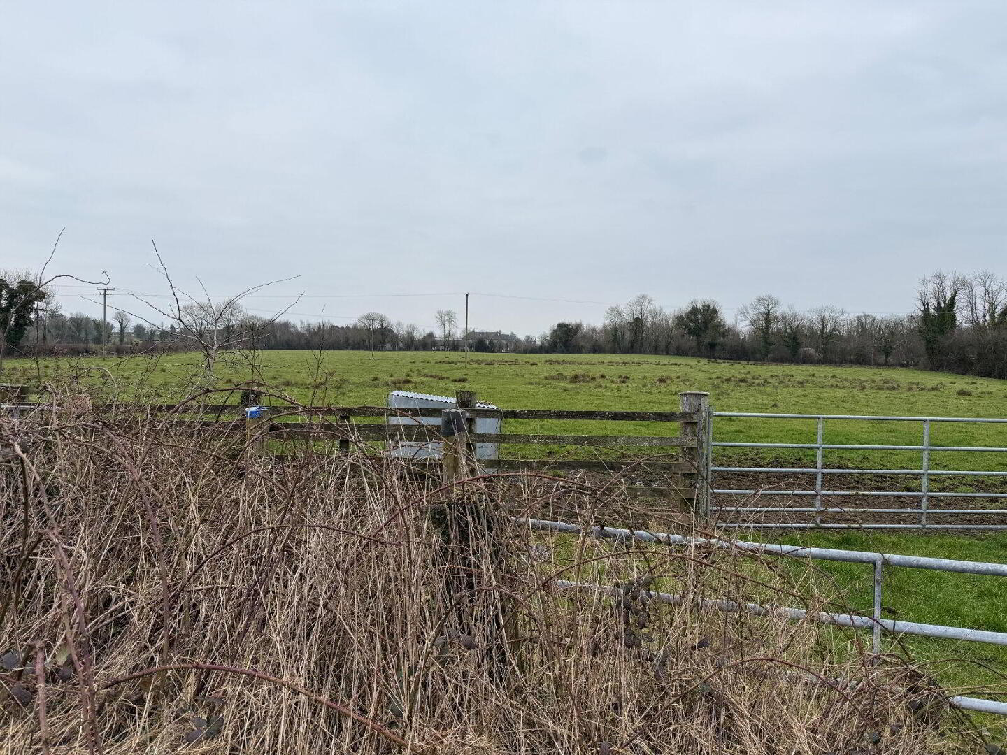 Site At, Lismore 6 of 7