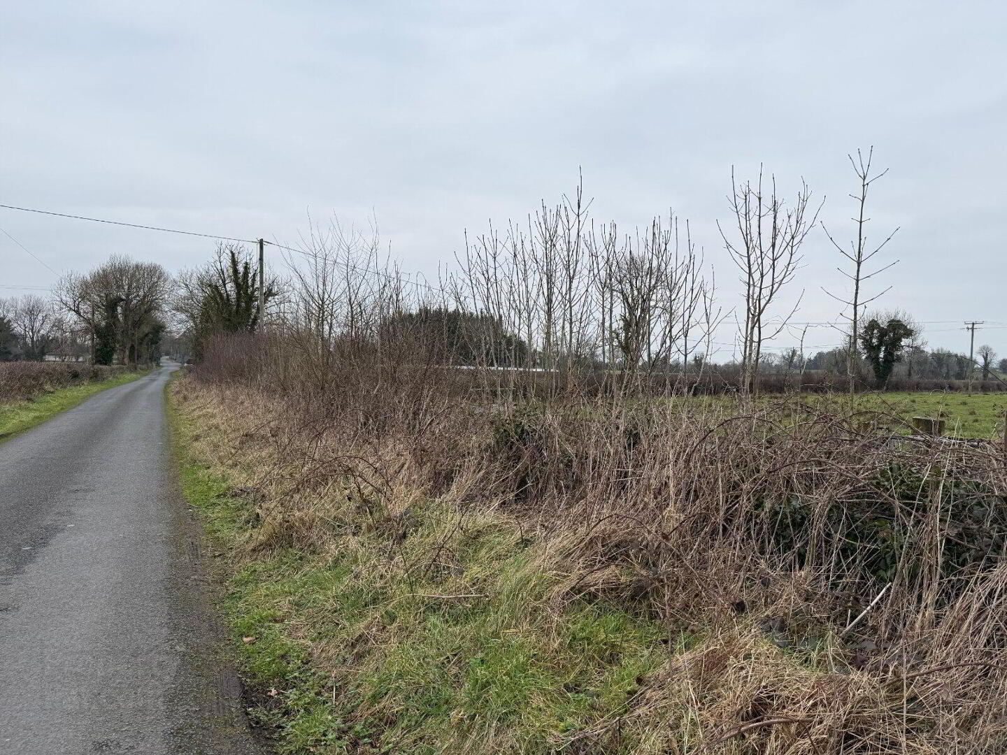 Site At, Lismore 7 of 7