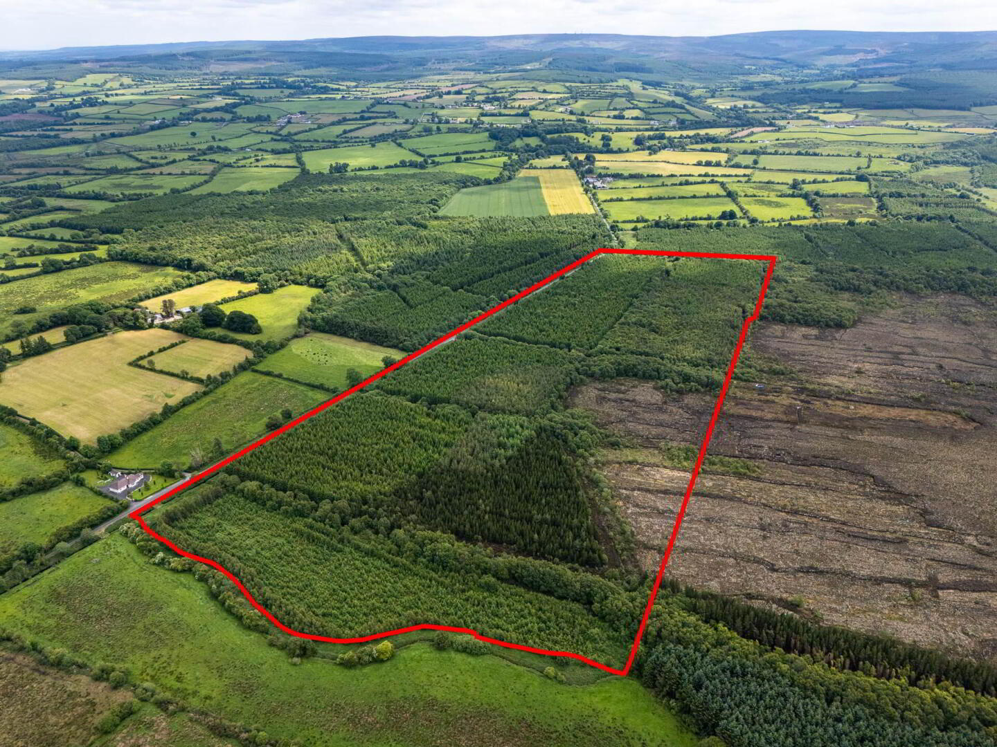 Curragh 3 of 19