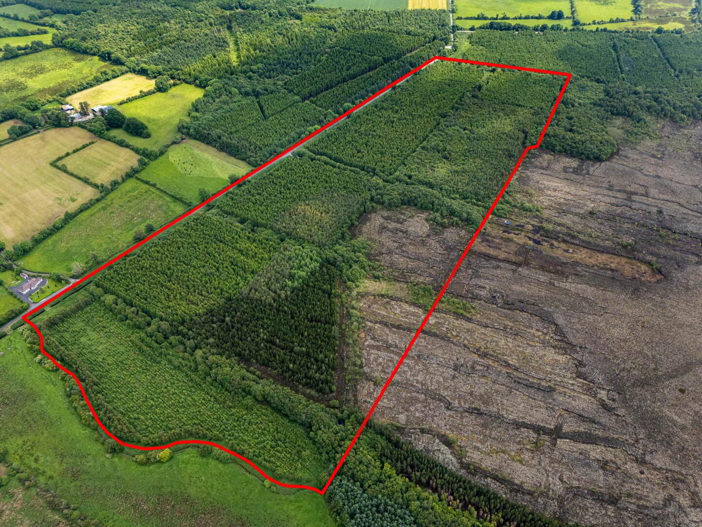 Curragh 4 of 19