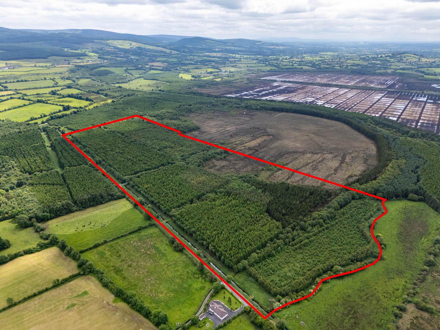 Curragh 1 of 19