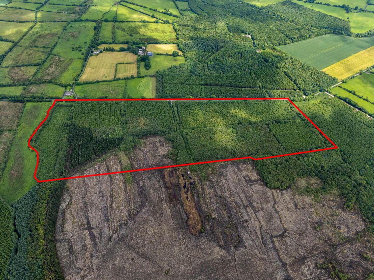 Curragh 5 of 19