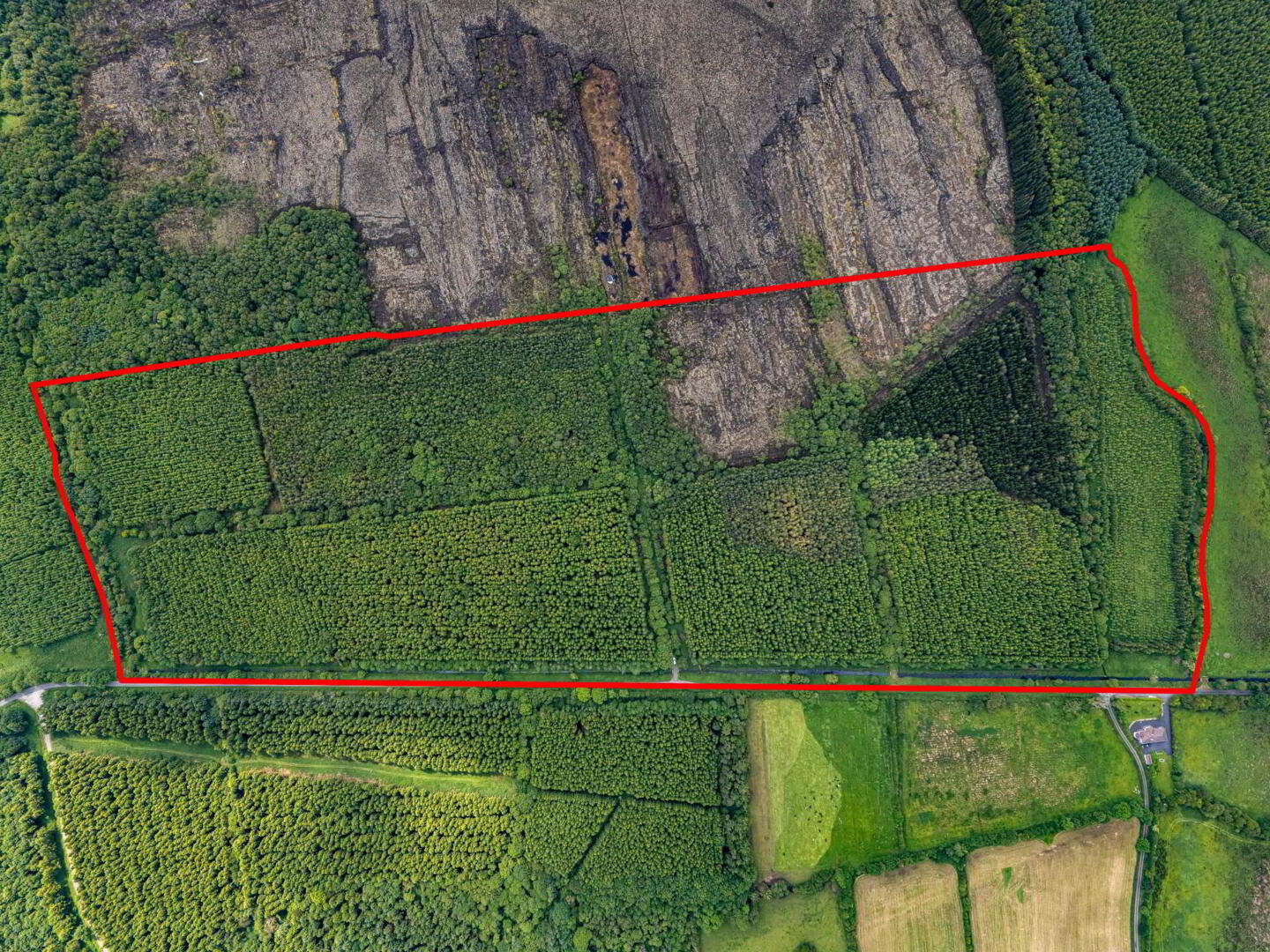 Curragh 7 of 19