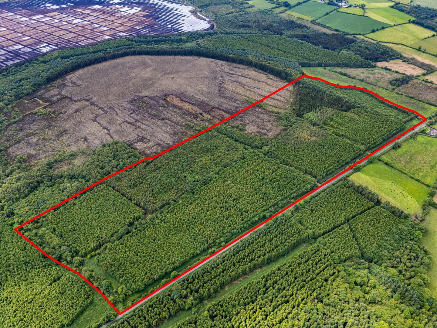 Curragh 8 of 19