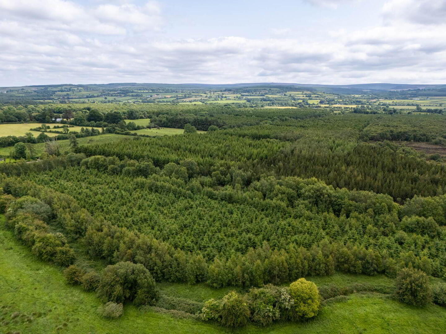 Curragh 15 of 19