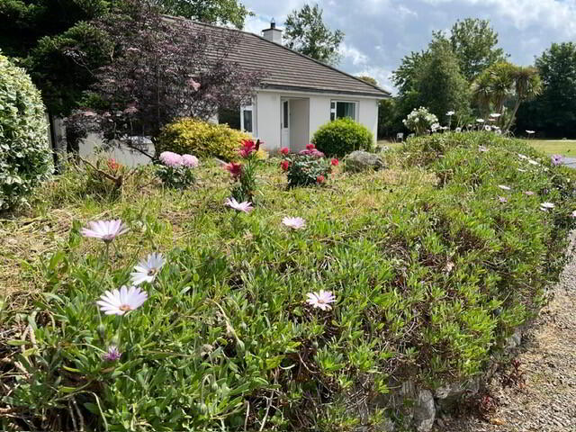 Bettyville Clondulane 3 of 26