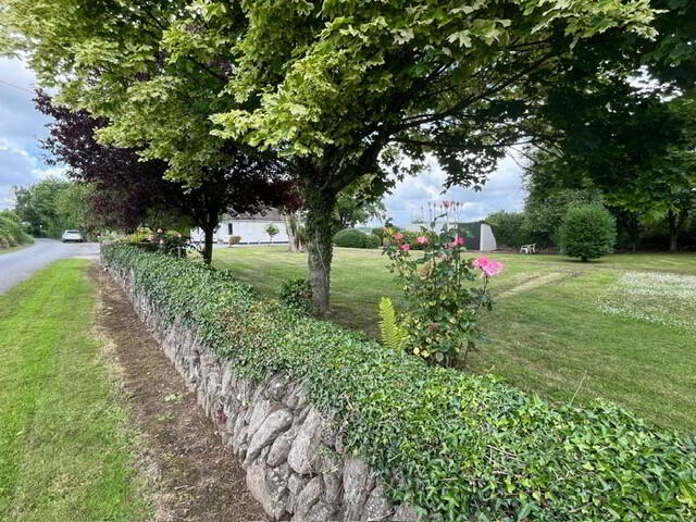 Bettyville Clondulane 5 of 26