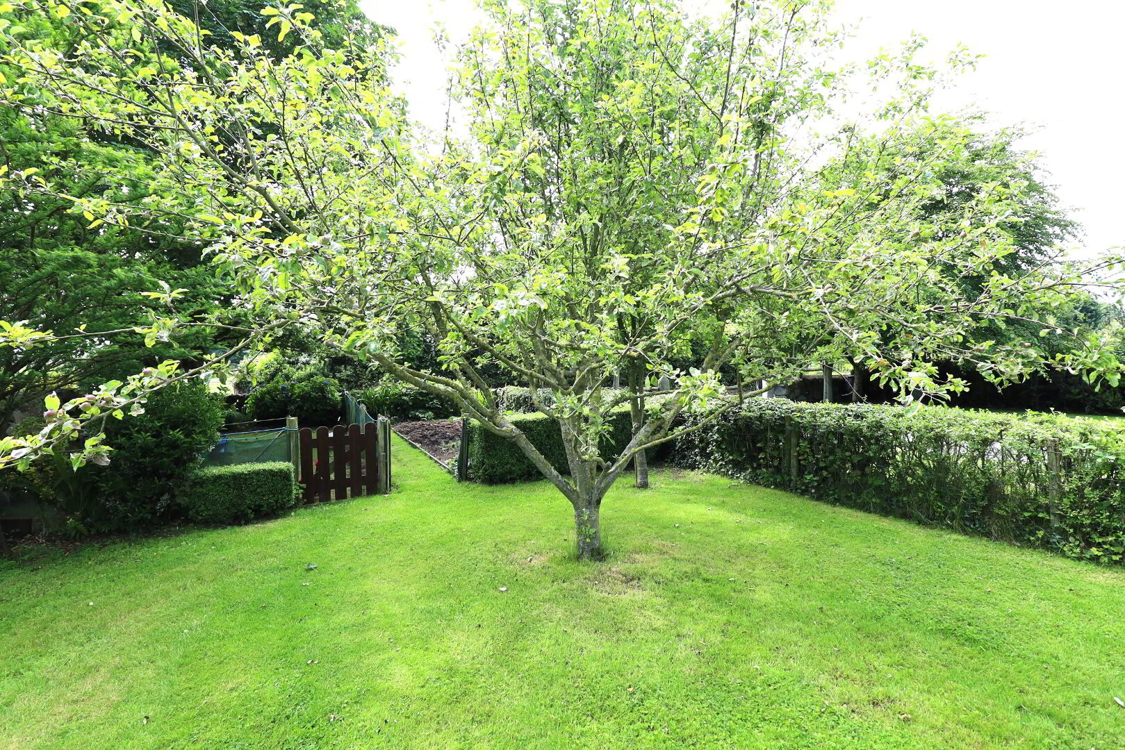 9 Ballykeel Road 55 of 72