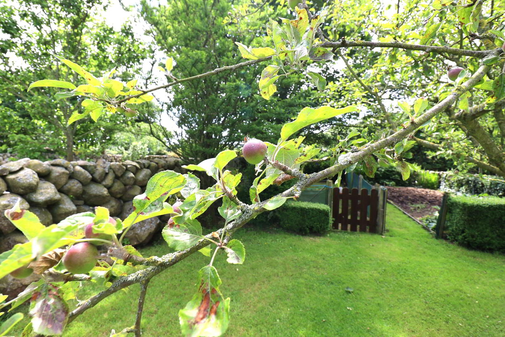 9 Ballykeel Road 61 of 72
