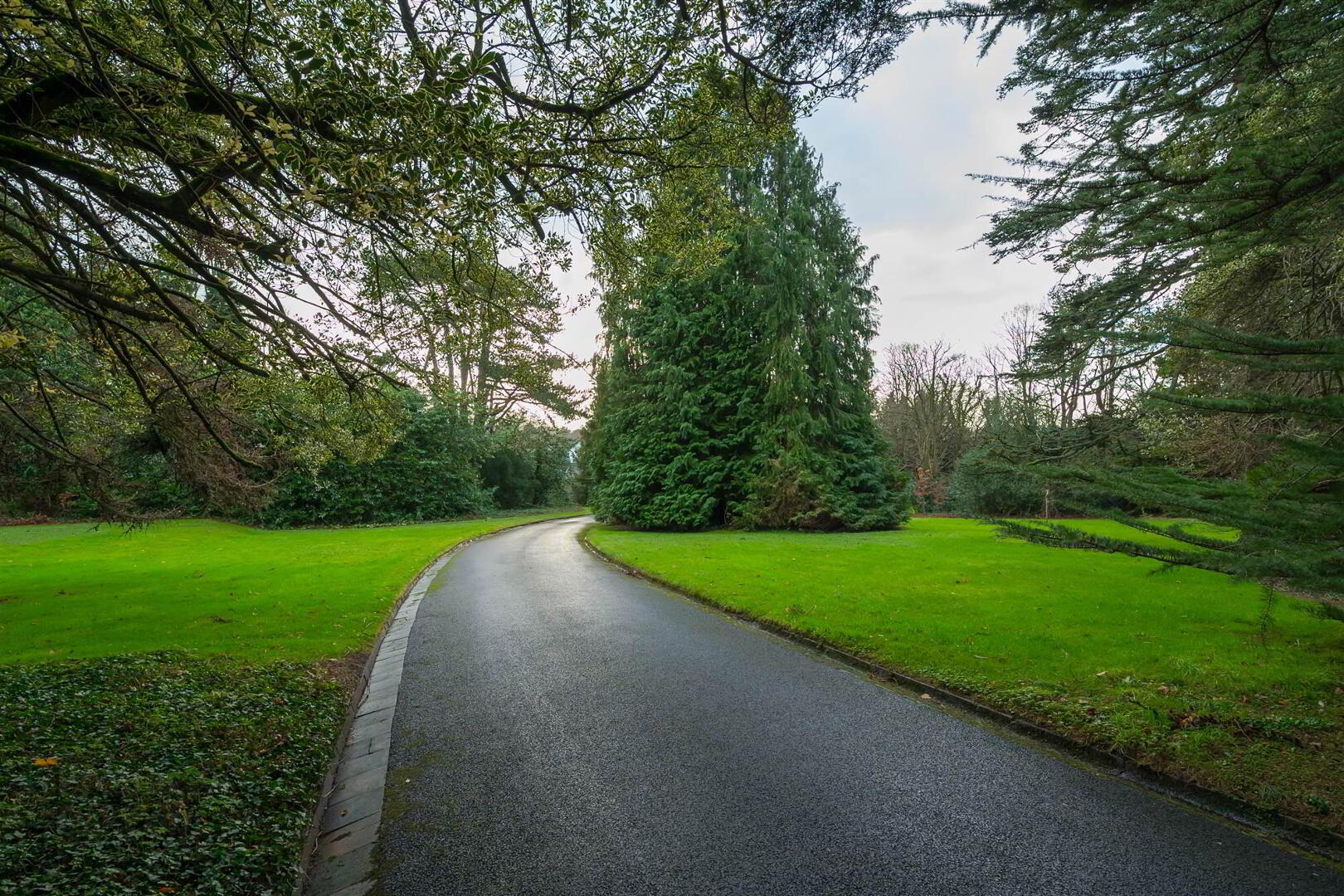 Flat 3 Lismachan House, 378 Belmont Road 13 of 14