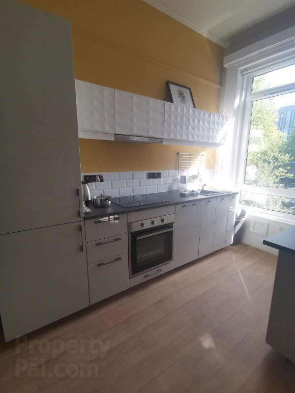 Apt 2, 13 Malone Road 3 of 5