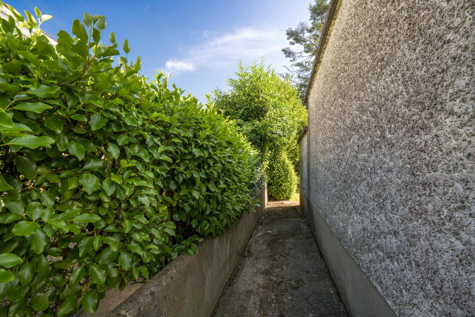 11 Rathcoole Park 32 of 43